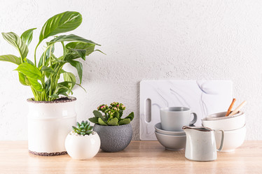 Similar image 22061931