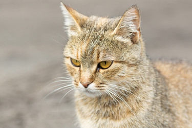 Similar image 22067673