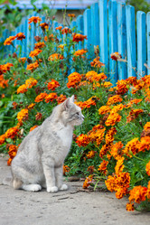 Similar image 22067675