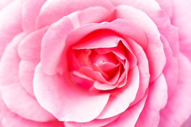 Similar image 22067677