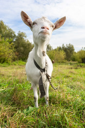 Similar image 22067678