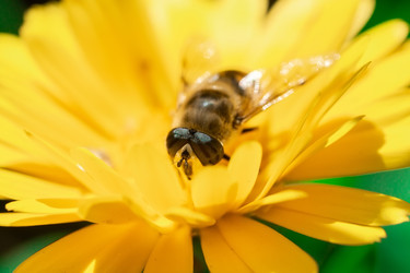 Similar image 22067886