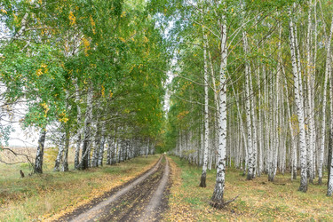 Similar image 22067889