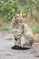 Similar image 22067892