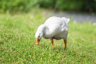 Similar image 22067895