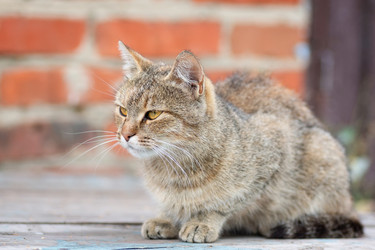 Similar image 22067898