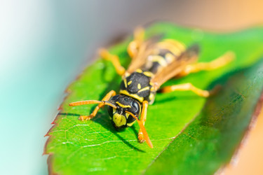 Similar image 22067901