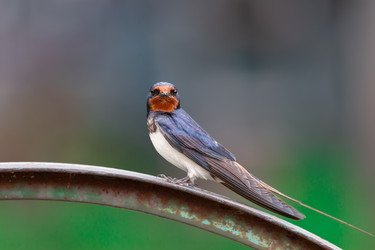 Similar image 22067905