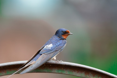 Similar image 22067909