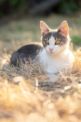 Similar image 22068072