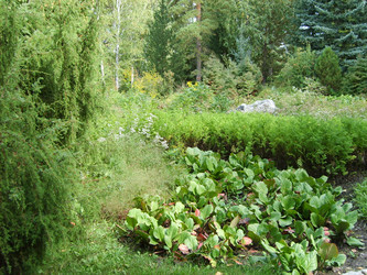 Similar image 22066482