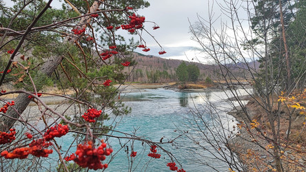 Similar image 22066485