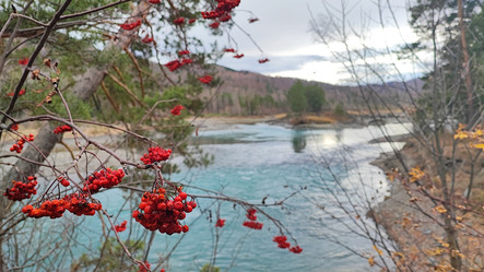 Similar image 22066486