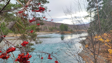 Similar image 22066487