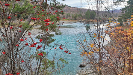 Similar image 22066489