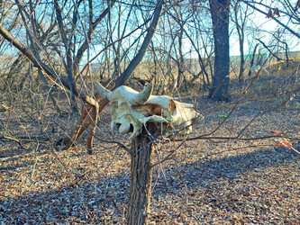 Similar image 22066495