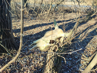 Similar image 22066496