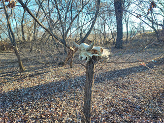 Similar image 22066497