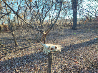 Similar image 22066498