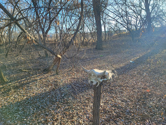 Similar image 22066499