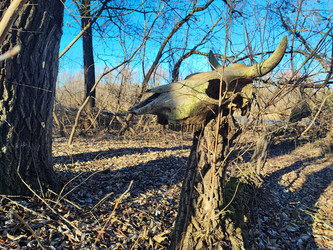 Similar image 22066500