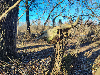 Similar image 22066503