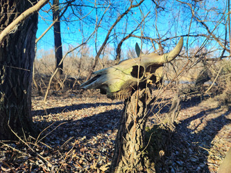 Similar image 22066504