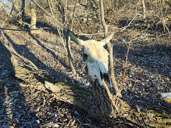 Similar image 22066505