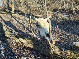 Similar image 22066506