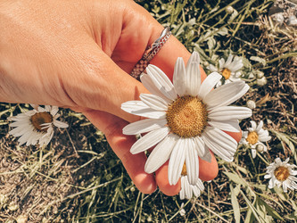 Similar image 22080459