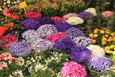 Similar image 22066512