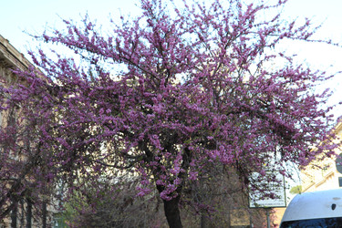 Similar image 22066513