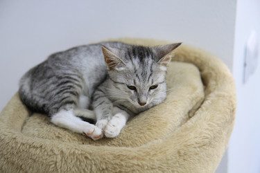 Similar image 22066514