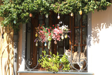 Similar image 22066515