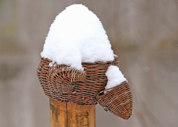 Similar image 22066517