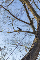 Similar image 22061935