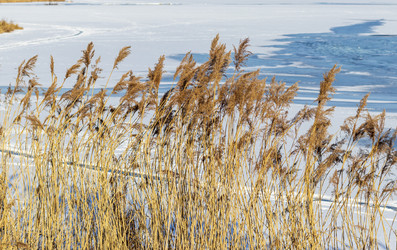 Similar image 22061936