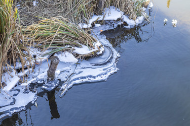 Similar image 22061941