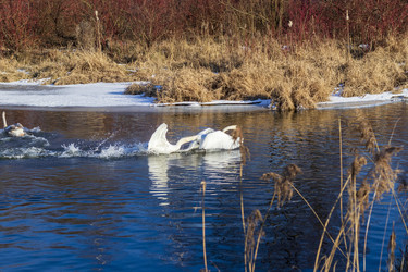 Similar image 22061942