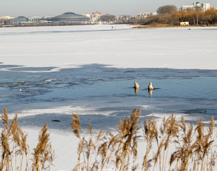 Similar image 22061944