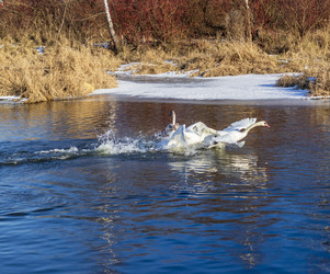 Similar image 22061946