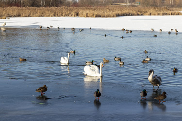 Similar image 22061949