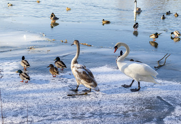 Similar image 22061951