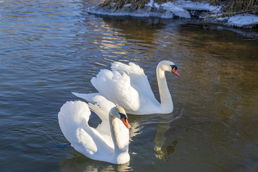 Similar image 22061955