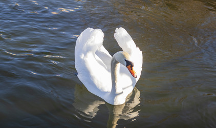 Similar image 22061956