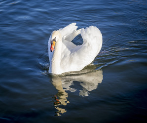 Similar image 22061957