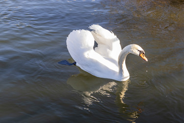 Similar image 22061960