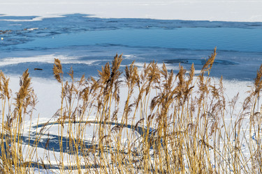 Similar image 22061965