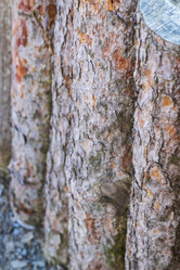 Similar image 22061967