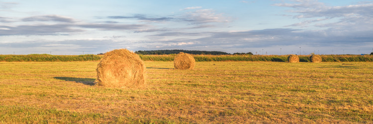 Similar image 22066405